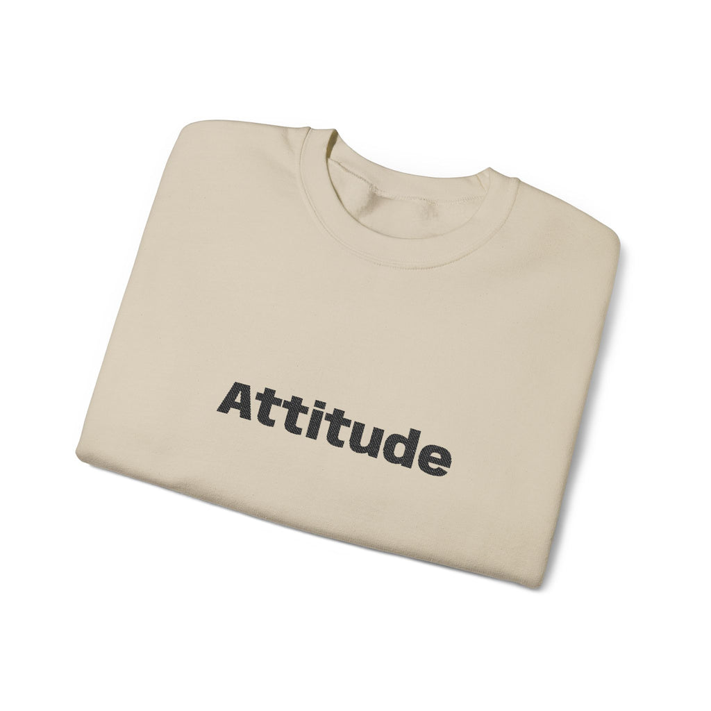 Copy of Cool sweatshirt w Attitude. Shows your strong determined and an overachiever